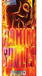 FLAMING SKULLS 2000 SHOTS